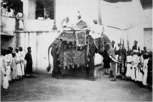 Maharaja of Udaipur